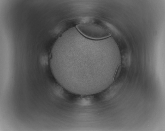 X0000111250368200907021436