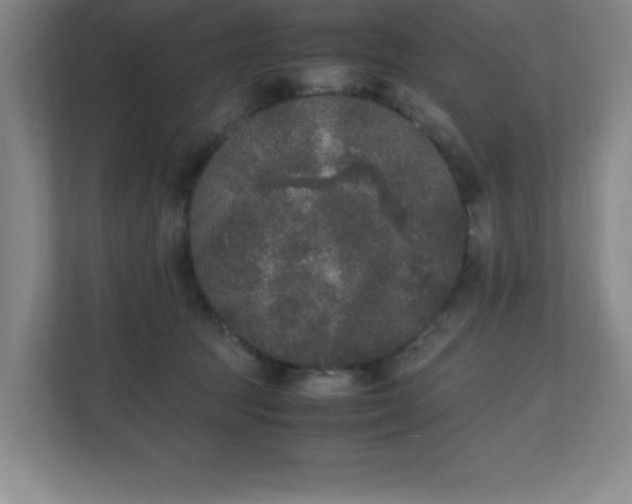 X0000111250369200907021436