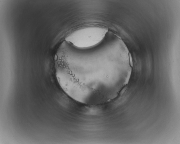 X0000111250370200907021436