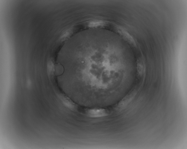 X0000111250375200907021436