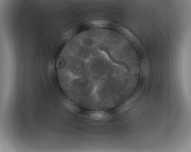 X0000111250377200907021436