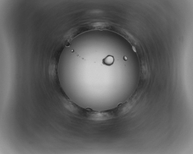 X0000111250379200907021436