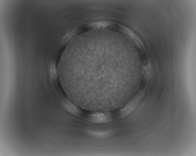 X0000111250381200907021436