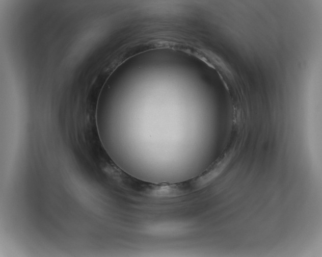 X0000111250382200907021436