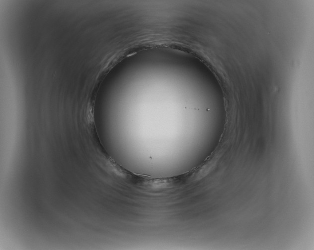 X0000111250384200907021436