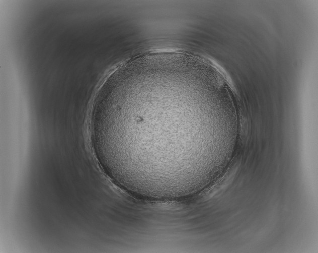 X0000111250385200907021435