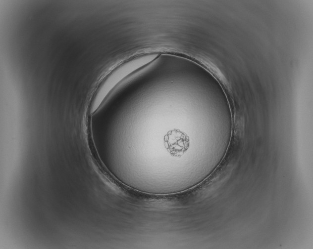 X0000111250389200907021435