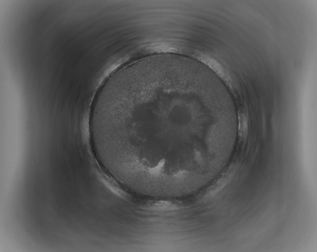 X0000111250390200907021435
