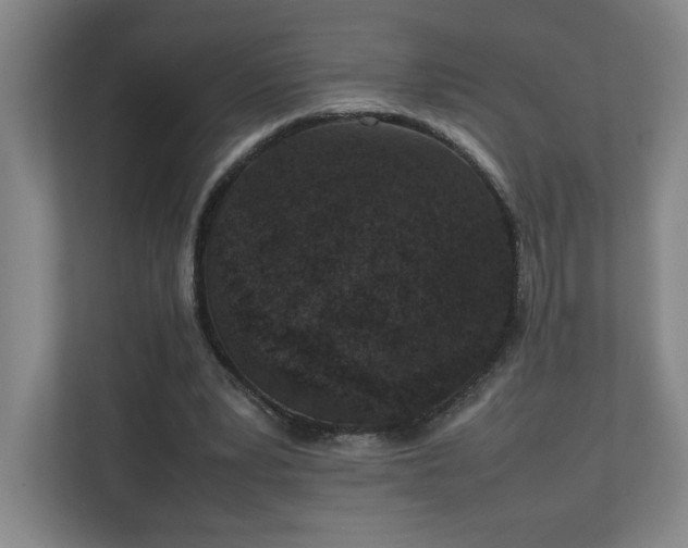 X0000111250391200907021435