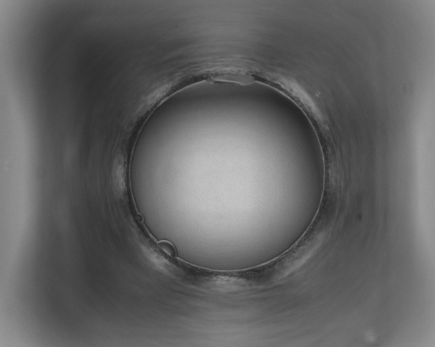 X0000111250393200907021435