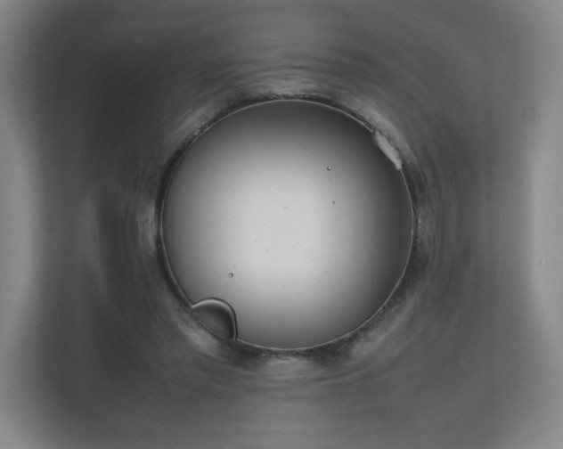 X0000111250397200907021435