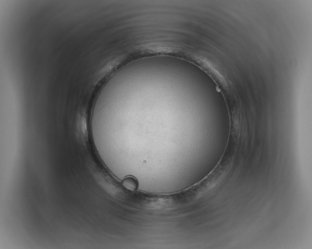 X0000111250398200907021435