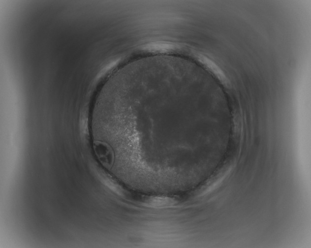 X0000111250399200907021435