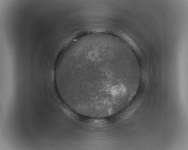 X0000111250401200907021435