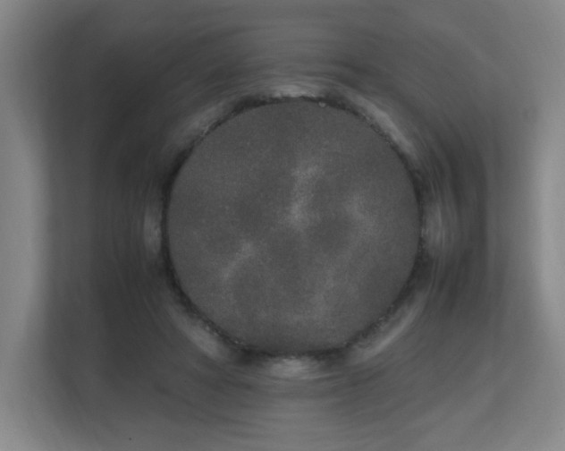 X0000111250402200907021435