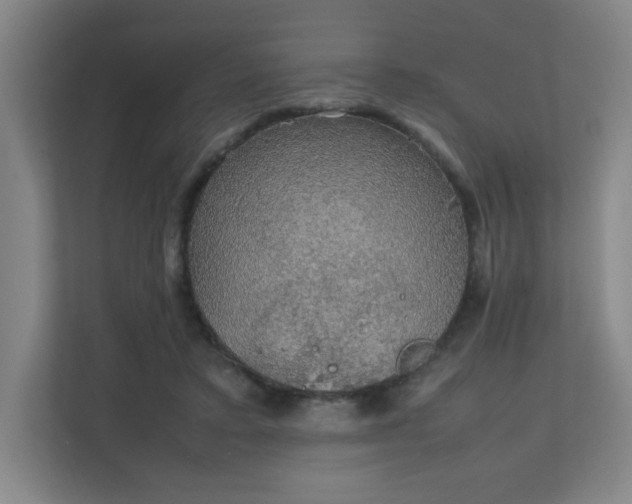 X0000111250403200907021435