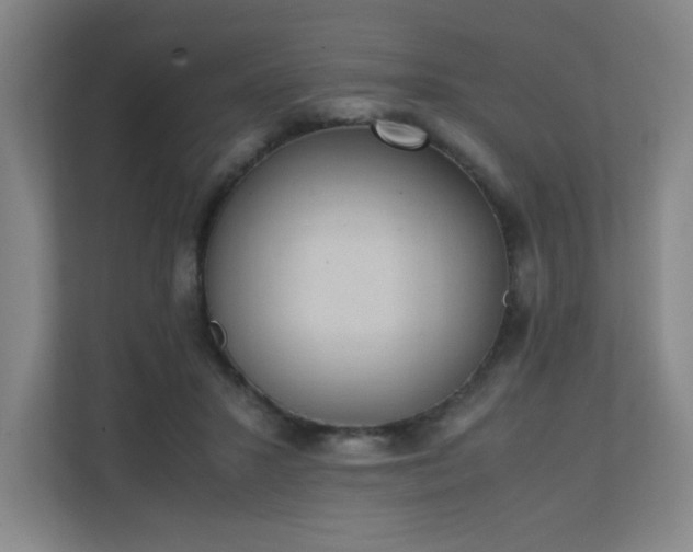 X0000111250407200907021435