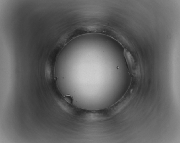 X0000111250408200907021435