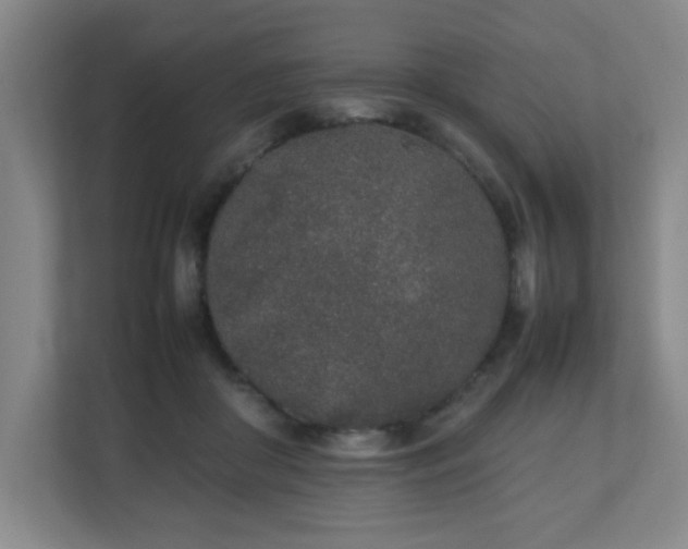 X0000111250410200907021435