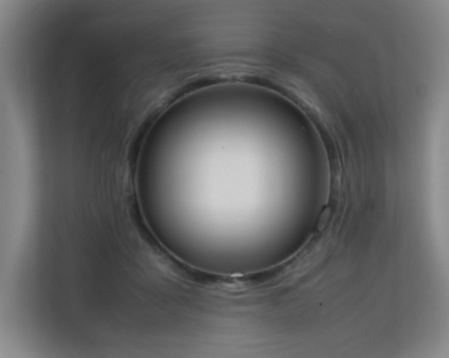 X0000111250411200907021435