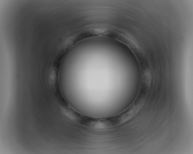 X0000111250412200907021435