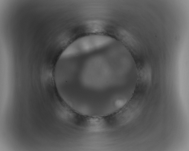 X0000111250415200907021435