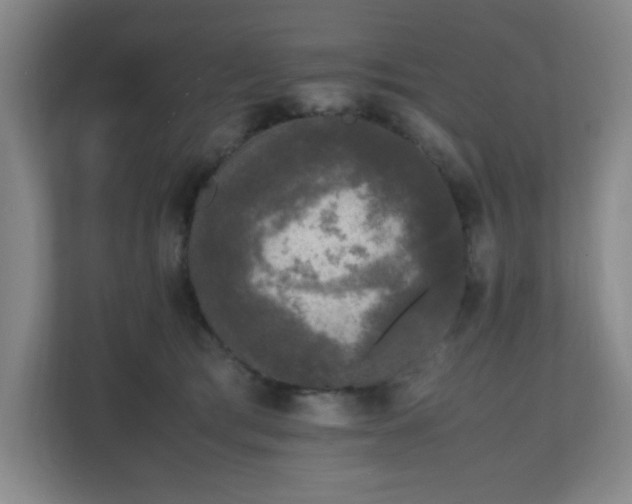 X0000111250417200907021435