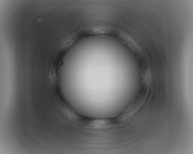 X0000111250418200907021435
