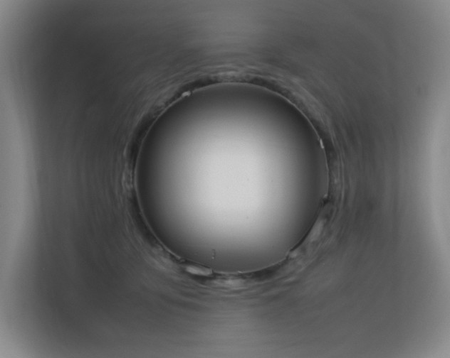X0000111250419200907021435