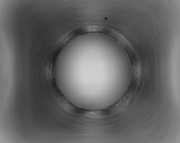 X0000111250422200907021435