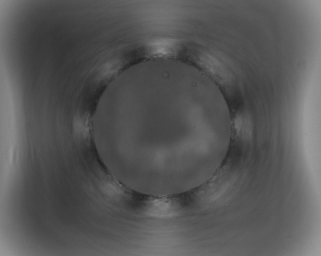 X0000111250423200907021435