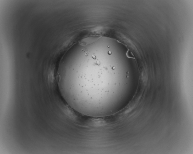 X0000111250424200907021435