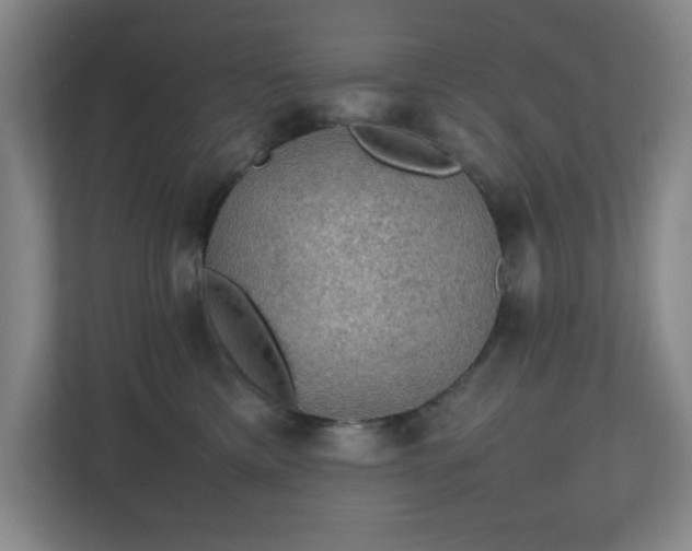 X0000111250425200907021435