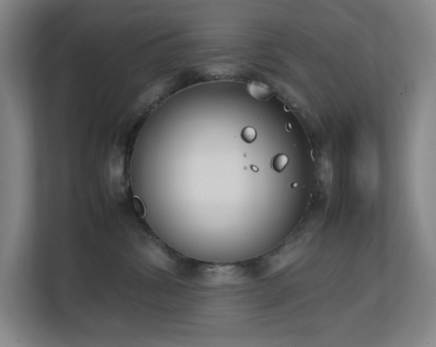 X0000111250428200907021435