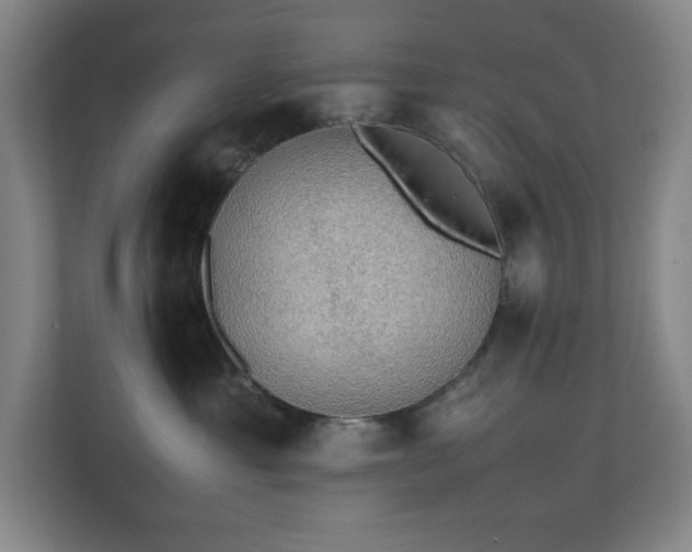X0000111250429200907021435
