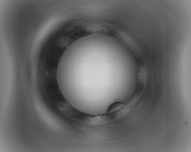 X0000111250430200907021435