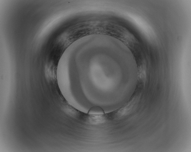 X0000111250431200907021435