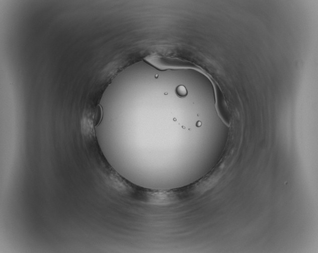 X0000111250432200907021435