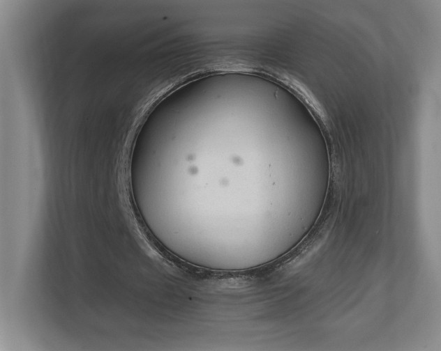 X0000111250433200907021434