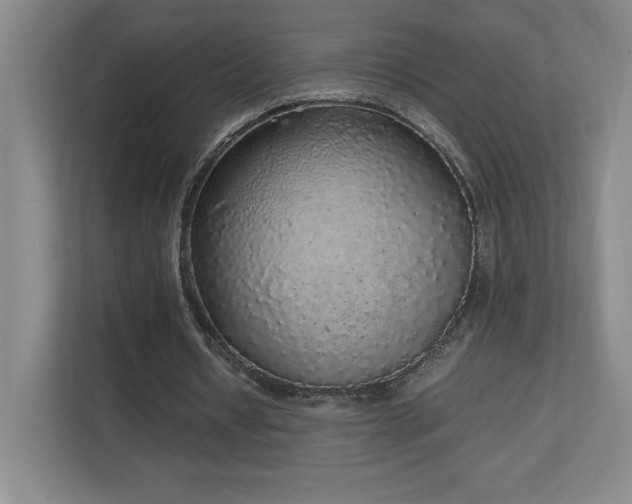 X0000111250434200907021434