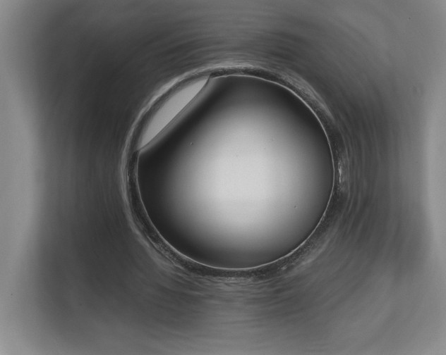 X0000111250436200907021434
