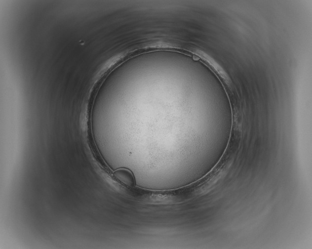 X0000111250437200907021434
