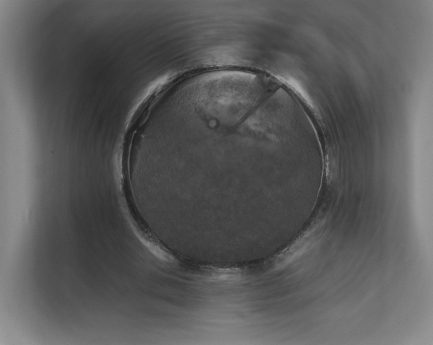 X0000111250438200907021434