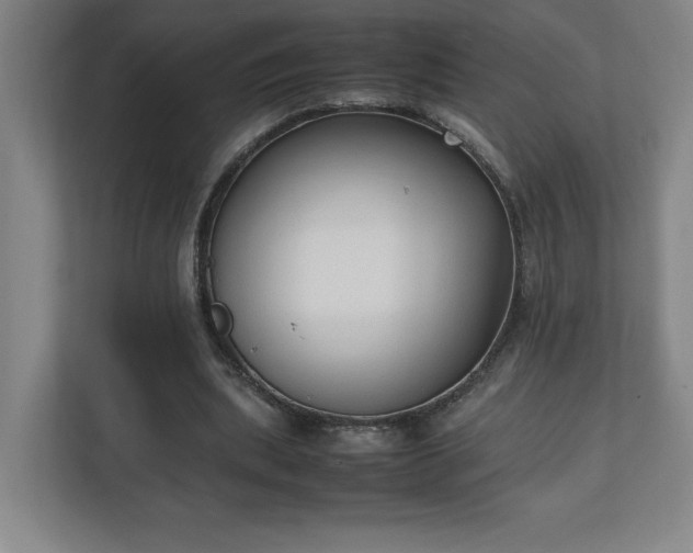 X0000111250439200907021434
