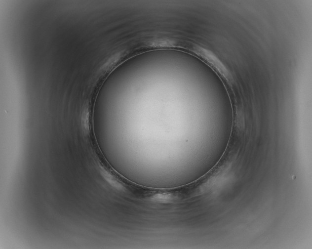 X0000111250441200907021434