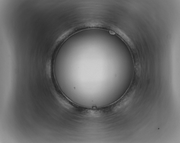 X0000111250442200907021434