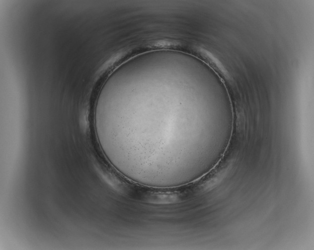 X0000111250443200907021434