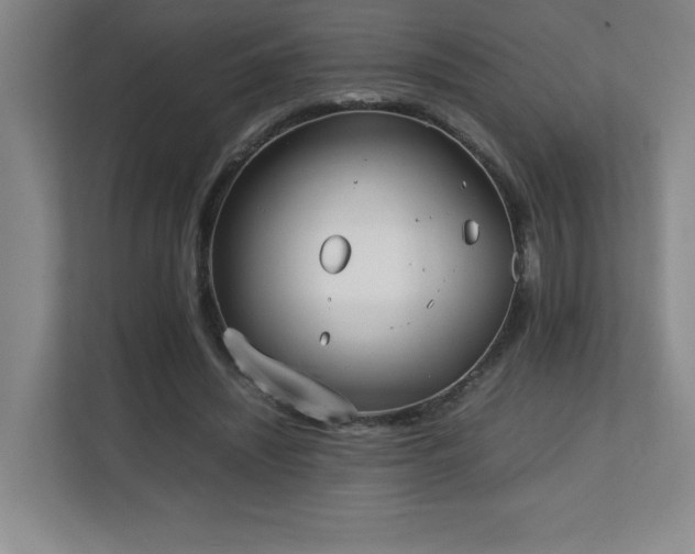 X0000111250444200907021434