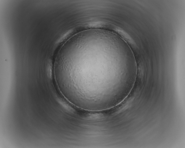 X0000111250446200907021434