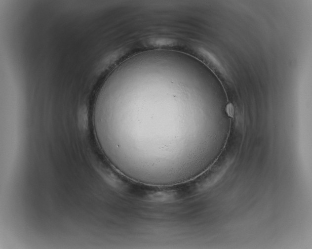 X0000111250447200907021434